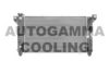 AUTOGAMMA 100144 Radiator, engine cooling